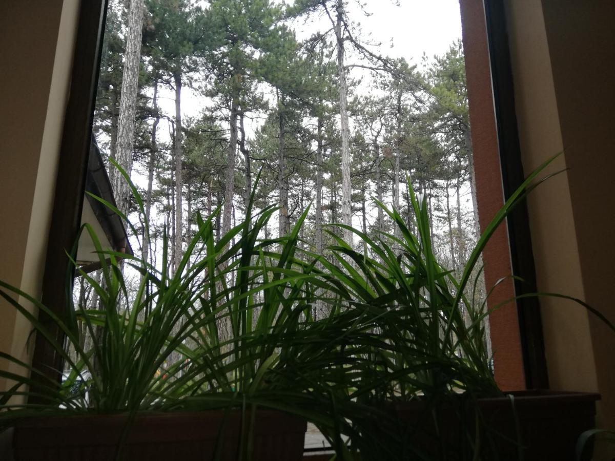 Hotel Les Razgrad 外观 照片